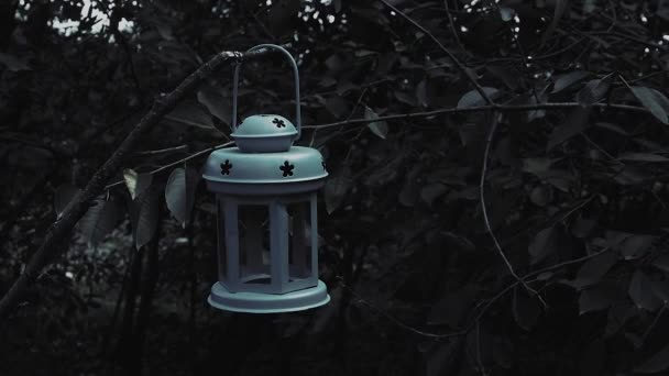 恐怖森林里树枝上的烛台灯 树枝上的倒立的烛光在风中摇曳 — 图库视频影像