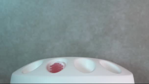 一个男人从一个白色的箱子里取出一个白色的牙刷 牙科保健 健康的牙齿概念 在浴室里刷牙 — 图库视频影像