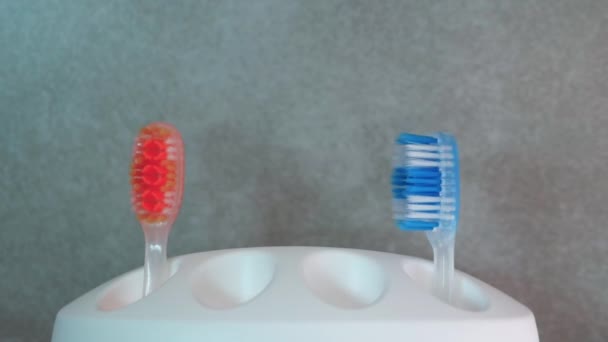 白色外壳中的软焦点牙刷在运动中出现 牙科保健 健康的牙齿概念 在浴室刷牙 — 图库视频影像