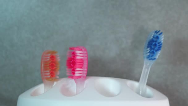 在一个白色的箱子里 软聚焦点舞的彩色牙刷出现在运动中 牙科保健 健康的牙齿概念 在浴室刷牙 手拿着牙刷 — 图库视频影像