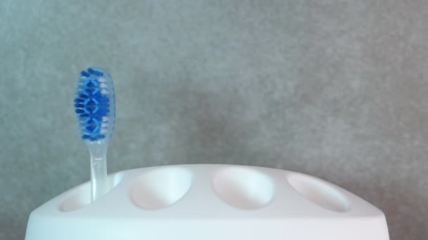 Μαλακή Εστίαση Μπλε Οδοντόβουρτσες Μια Λευκή Περίπτωση Εμφανίζονται Κίνηση Οδοντιατρική — Αρχείο Βίντεο