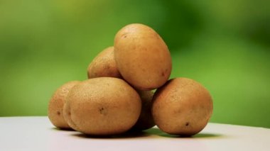 Yeşil bokeh arka planına karşı beyaz pikabın üzerinde derisi olan patates. Patates toplama stüdyosu çekimi.