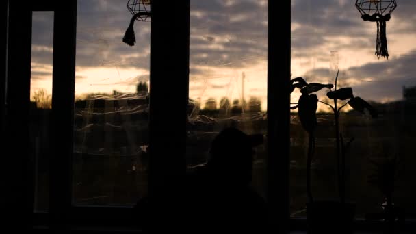 우울증에 사람은 충격파로부터 보호하기 밀봉된 창문을 배경으로 앉아서 있다가 전쟁을 — 비디오