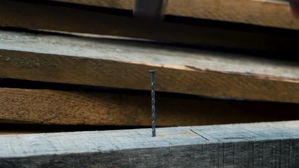 ゆっくりとした動きで木の板に釘を打ち込む ハンマーで釘を打ちなさい 手にハンマーで建設労働者や大工 — ストック動画