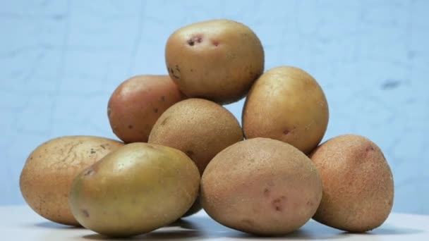 Batatas Suas Peles Giram Sobre Mesa Batatas Naturais Colheita Batata — Vídeo de Stock