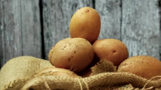 天然土豆 有皮肤在转盘上的背景板 收获的马铃薯 — 图库视频影像