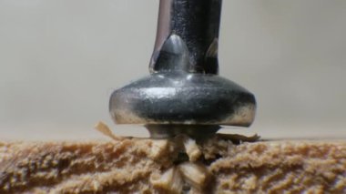 Yakın çekim makro çerçeve Eski çürük bir tahtadaki vidayı sök
