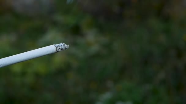 Μαλακή Εστίαση Κάπνισμα Τσιγάρο Πράσινο Φόντο Φύση — Αρχείο Βίντεο
