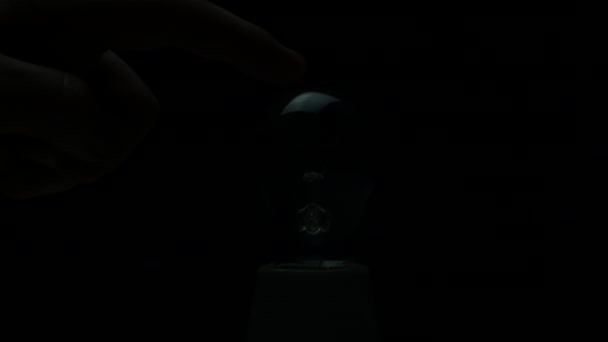 Concept Électricité Ampoules Sur Fond Noir Lampe Incandescence Est Allumée — Video