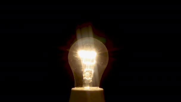 Conceito Oelectricity Lâmpadas Fundo Preto Lâmpada Incandescente Brilhante Close — Vídeo de Stock