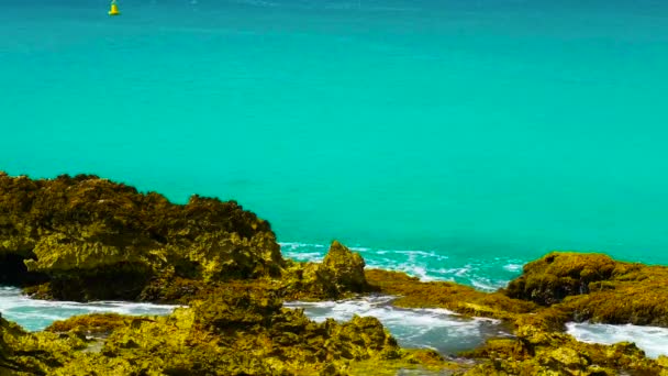 Prachtige Achtergrond Turquoise Zee Achtergrond Van Schelpsteen Zeegezicht Een Leeg — Stockvideo