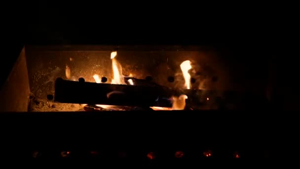 Vlammen Een Vuur Hout Verbranden Tegen Achtergrond Van Een Prachtige — Stockvideo