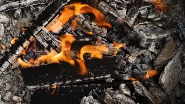 Brand Hout Van Dichtbij Hout Verbranden Tegen Achtergrond Van Een — Stockvideo