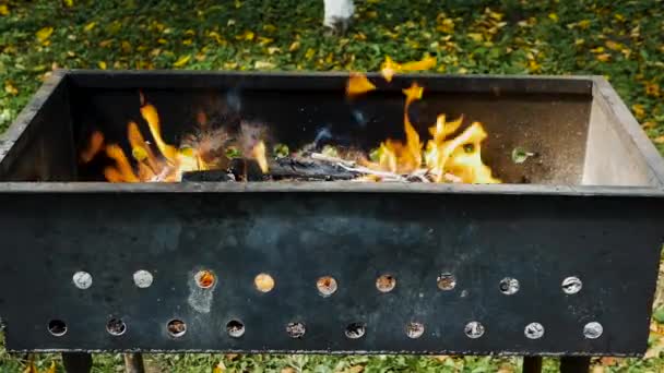 火鉢の金属のクローズアップでの木材の火災 薪を燃やして 永遠の炎の美しい炎を背景に 木材炭を粉砕します 薪の概念 — ストック動画
