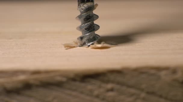 特写人把一个自攻螺钉拧到木板上 一个人正在把螺丝拧到木板上 工作时的木匠 — 图库视频影像