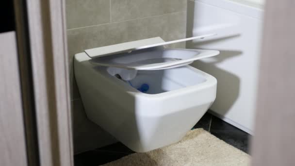 Closing System Toilet Lid Automatic Drawer Modern Toilet Bowl Interior — Stock Video