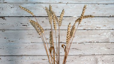  Taze fırınlanmış ekmek ve doğal buğday dikenleri.