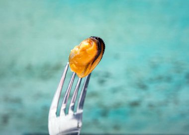 Fresh mussel on a fork on a blue sea background, healthy sea product mussel without a shell. A man eats a mussel in a restaurant. Pickled