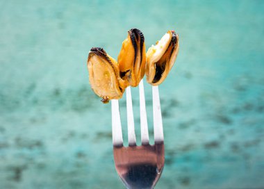 Fresh mussels on a fork on a blue sea background close-up, healthy sea product mussels without shells. A man eats a mussel in a restaurant. Pickled