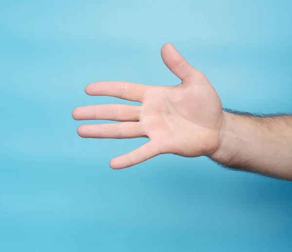 The hand shows a palm gesture on a blue background. Human wrist. Male 5 fingers gesture