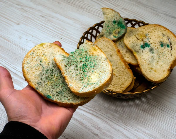 Close-up, Homemade bread in a man\'s hand, food with mold, on a light wooden table in the kitchen, harmful bread with a fungus, food poisoning, microbes. Flowered bread.