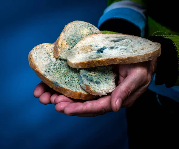 Close-up, Homemade bread in the hand of an elderly man, food with mold, on a light wooden table in the kitchen, harmful bread with a fungus, food poisoning, microbes. Flowered bread.