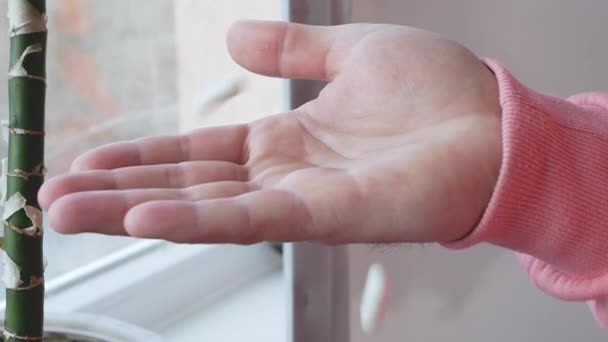 许多医疗胶囊落在一个人的手掌上 药丸在男人手里慢动作 药物保健概念 — 图库视频影像
