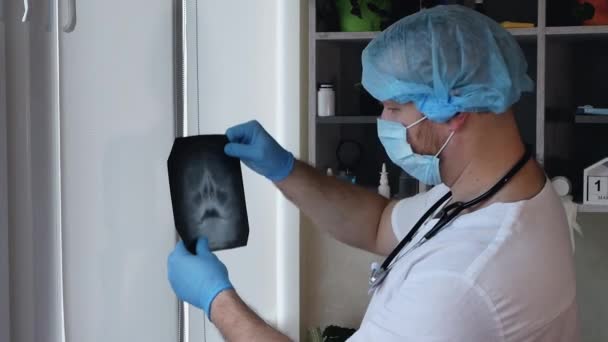 脳外科医は 病院のオフィスで人の頭蓋脳を分析します 人間の脳のX線 医者は頭蓋骨や鼻咽頭の損傷 耳と喉の病気を分析します — ストック動画