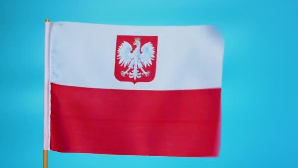Nære Polens Flagg Med Ørn Polens Flagg Flagrer Vinden Blå – stockvideo