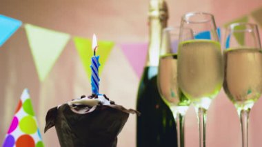 Doğum günü kartpostalı. Doğum günün kutlu olsun. Mumlu kek. Bir şişe şampanya ve bardakla yıldönümü. Dekorasyon doğumlu güzel bir arkaplan