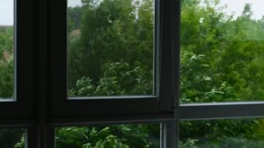 Yaz ormanında yağmur. Yeşil yapraklı arka planda güzel bir yaz yağmuru. Sokakta yağmur damlaları yavaş hareket ediyor. Sokakta sağanak yağış, çimenlerin üzerine damlalar