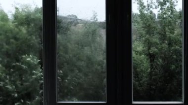 Şiddetli bir rüzgarla pencerenin dışında yağmur. Damlalar cam değildir. Yeşil yapraklı arka planda güzel bir yaz yağmuru. Sokakta yağmur damlaları. Fırtına gibi sağanak yağış var..