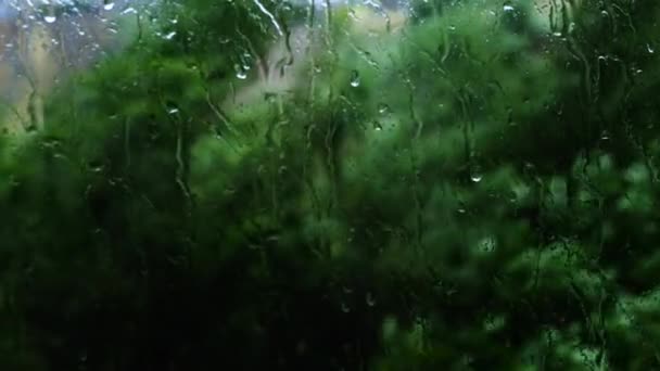 Badai Dengan Hujan Lebat Luar Jendela Hujan Menetes Kaca Hujan — Stok Video