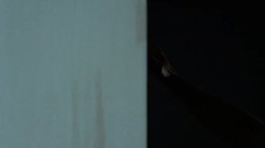 Yaşlı bir adam kapıyı yavaş çekimde çalar, dehşet içinde, karanlıkta eli ile kapıyı çalar. Tahta kapıyı çalan adam.