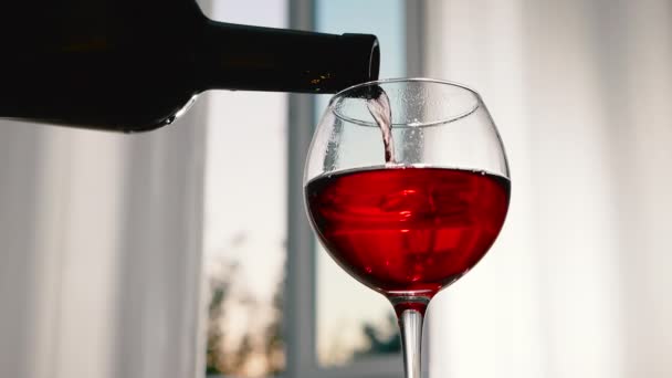 ボトルから赤ワインをグラスに注ぎ グラスに閉じ込め 天然の自家製ワインを注ぐ アルコールドリンクグレープ — ストック動画