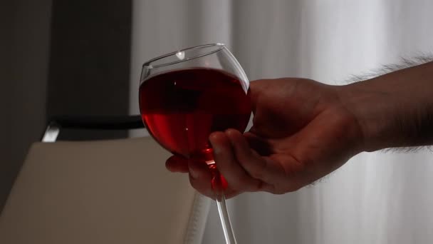 Sommelier Glass Red Wine His Hand Slow Motion Natural Wine — Stock Video
