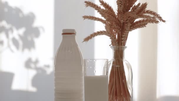 男は白い背景に自然なミルクを飲んでいる キッチンテーブルの乳製品 デイリー ブレックファスト 花瓶の中の小麦のスパイシーツ — ストック動画