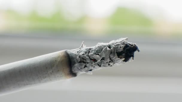 Cigarette Smokes Smoking Cigarette Macro Shot Gray Bokeh Background Smoking — 图库视频影像