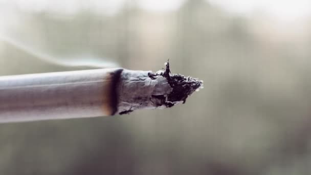 Cigarrillo Fuma Fumando Trago Macro Cigarrillo Sobre Fondo Bokeh Gris — Vídeo de stock