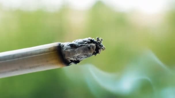 Cigarrillo Fuma Fumando Trago Macro Cigarrillo Sobre Fondo Verde Bokeh — Vídeos de Stock