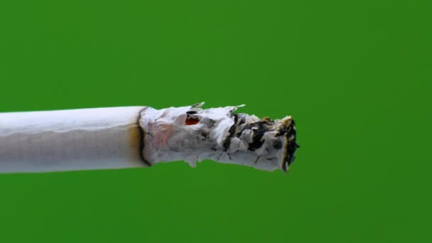 Close Macro Shot Tobacco Smoke Cigarette Cigarette Green Chroma Key — Stock Video