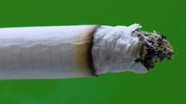 Smoldering Cigarette Green Background Soft Focus Chroma Key Smoking Cigar — Vídeo de stock