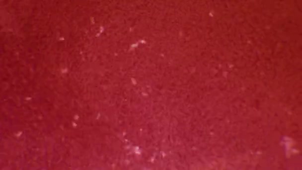 Abstraktní Pozadí Rozmazané Červené Pozadí Bublinami Vitamin Šálku Zblízka Červený — Stock video