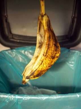 Elindeki muz kabuğunu çöp kutusuna at. Çürük bir muzun kabuğu.