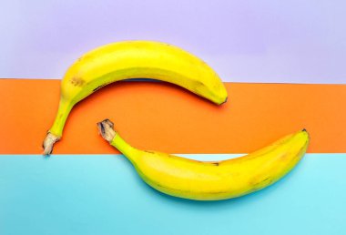 Çok renkli bir arka planda bir sürü olgun muz. Bardakta süt ürünüyle muz örmek. Muzlu beyaz yoğurt. Üst görünüm