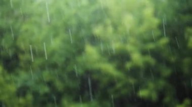 Yağmur ormandaki bulanık arka planda ağır çekimde, yeşil bokeh. Doğada yavaşça düşen yağmur damlaları.