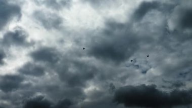  Kuşlu dramatik bulutlar. Gökyüzünde uçan bir kuşun silueti. Ağır çekimde. Bir karga gökyüzünde yavaşça ve yükseklere doğru uçuyor.