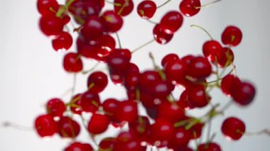 Yumuşak odaklanma. Kiraz çileği yavaş çekimde beyaz arka plana düşer. Olgun kırmızı kiraz meyvesi. arkaplan