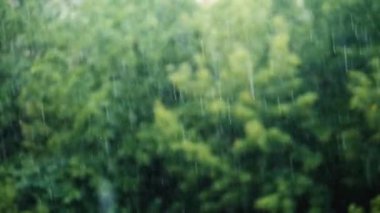 Yağmur arkaplanı yavaş çekimde, yaz yağmurunun damlaları yeşil bokeh arka planda