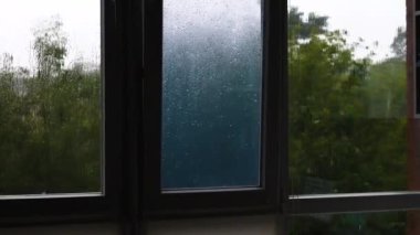 Pencerenin dışında yağmur var. Rüzgar, ağaçları şiddetli yağmurdan sallıyor. İklim değişikliği konsepti. Yağmur fırtınası
